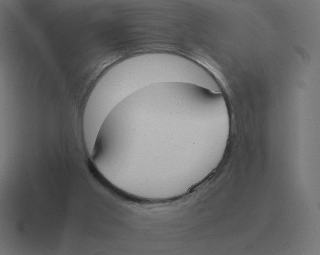 X0000116460013200912292016