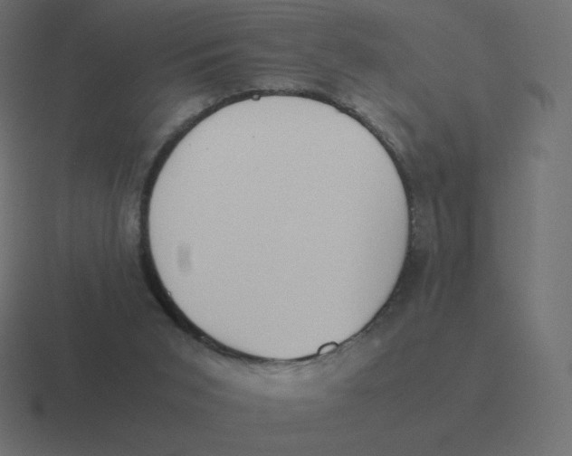 X0000116460015200912292016