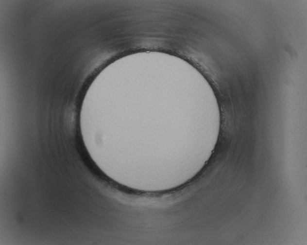 X0000116460016200912292016