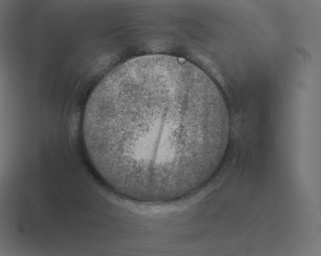 X0000116460018200912292016
