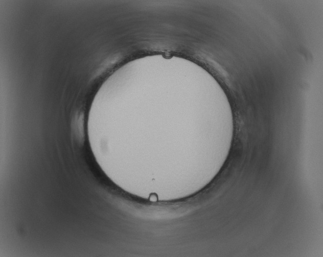 X0000116460020200912292016