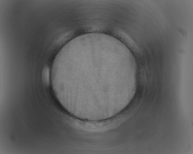 X0000116460022200912292016