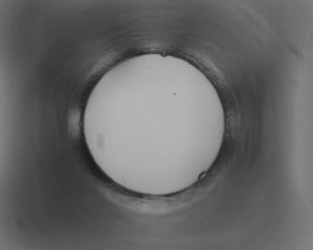 X0000116460024200912292016