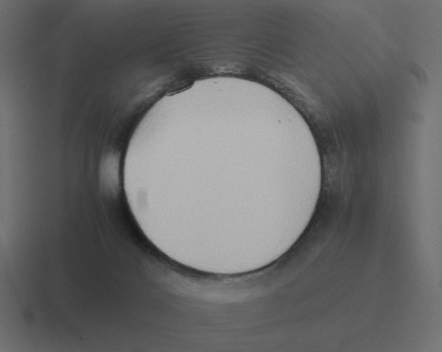 X0000116460028200912292016