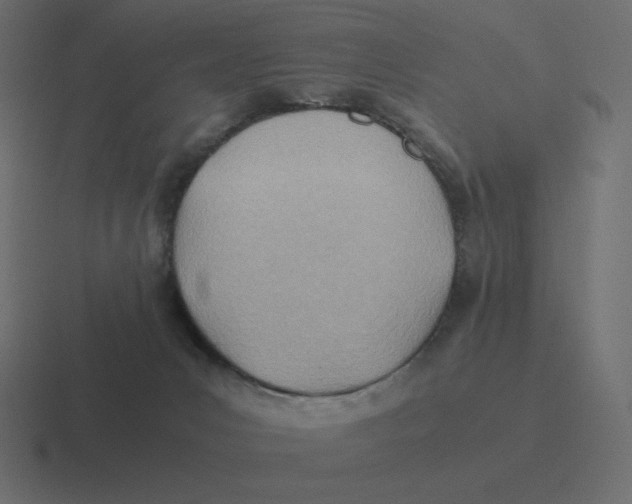 X0000116460031200912292016