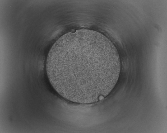 X0000116460032200912292016