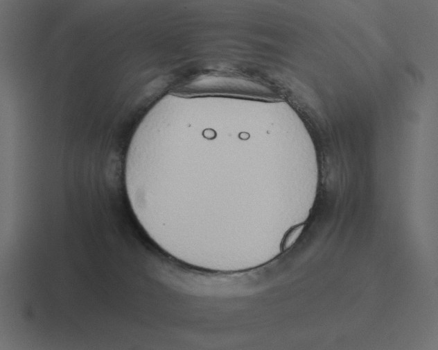 X0000116460036200912292016