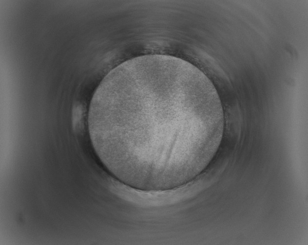 X0000116460038200912292016