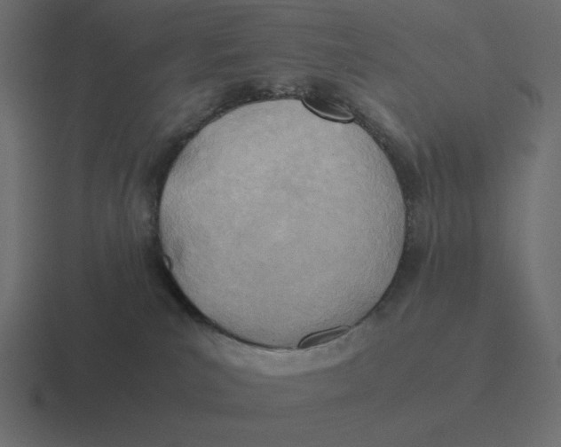 X0000116460039200912292016