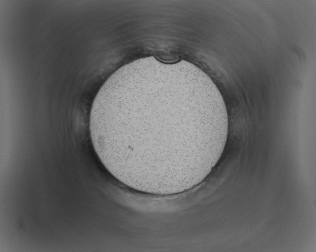 X0000116460040200912292016