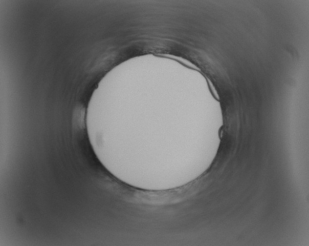 X0000116460041200912292016