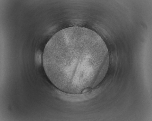 X0000116460042200912292016