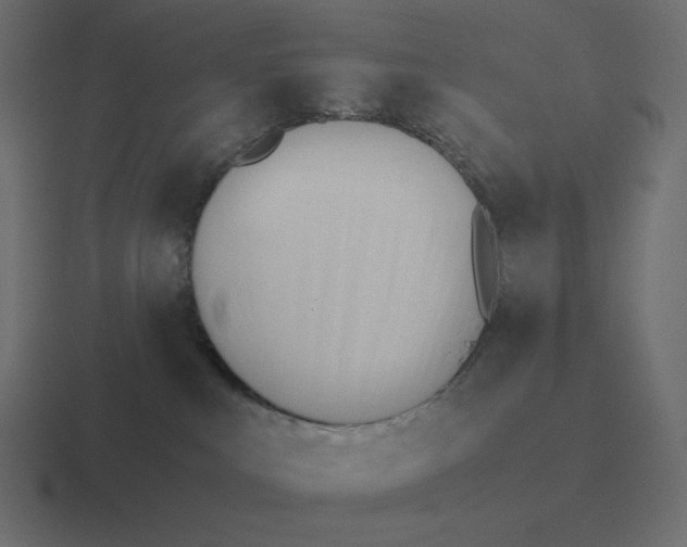 X0000116460043200912292016