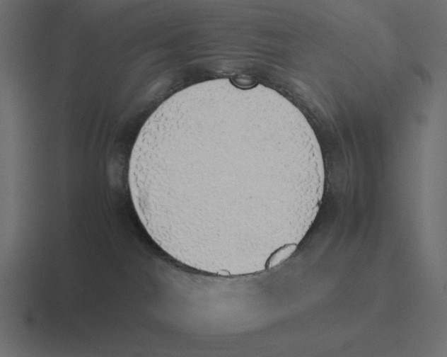 X0000116460044200912292016