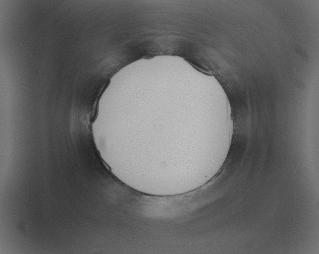 X0000116460045200912292015