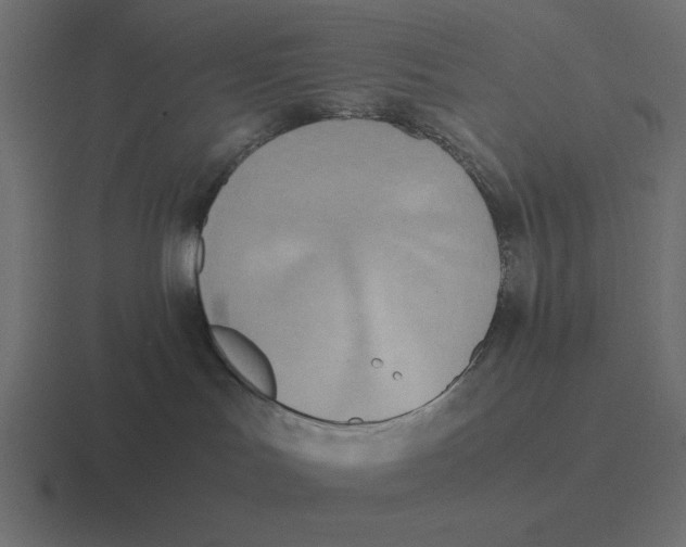 X0000116460047200912292015