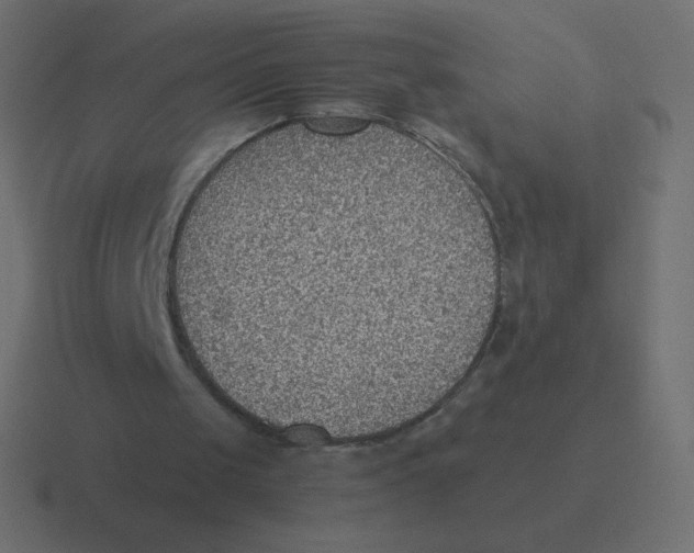 X0000116460049200912292015