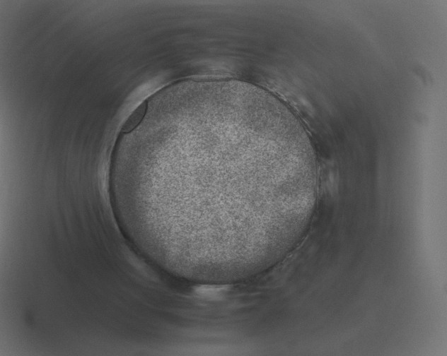 X0000116460051200912292015