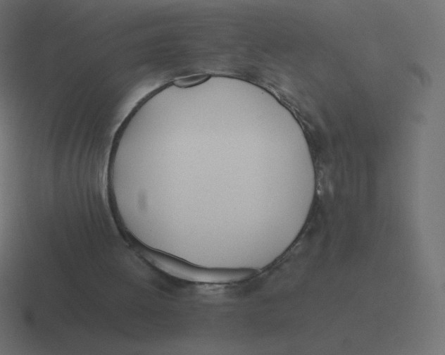 X0000116460052200912292015