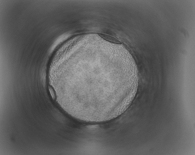 X0000116460054200912292015