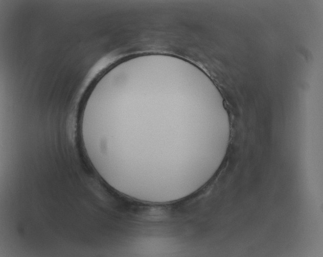 X0000116460056200912292015
