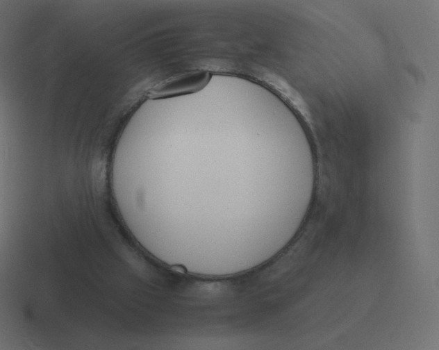 X0000116460057200912292015