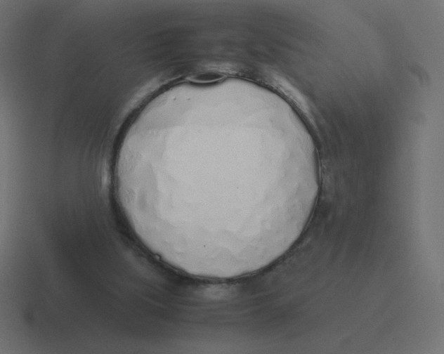 X0000116460059200912292015