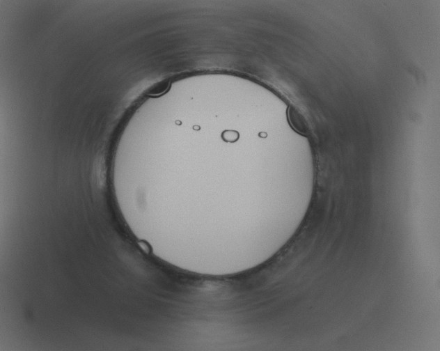 X0000116460060200912292015