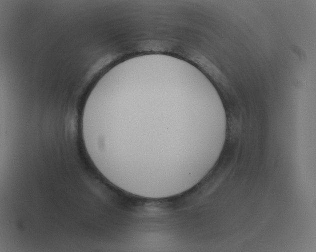 X0000116460064200912292015