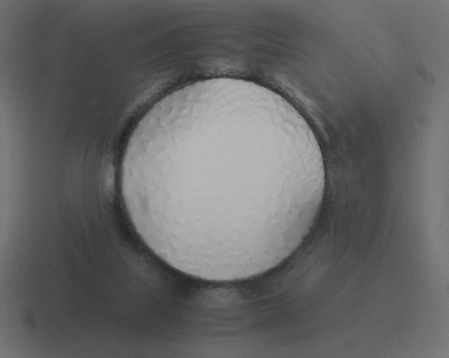 X0000116460067200912292015