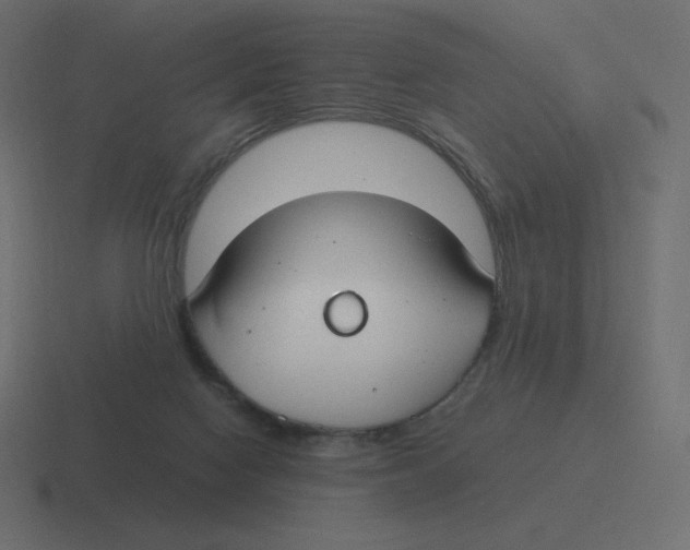 X0000116460074200912292015