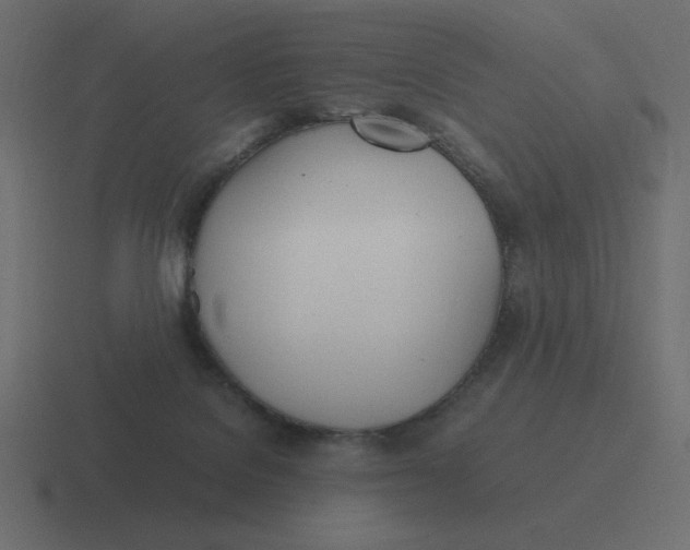 X0000116460076200912292015