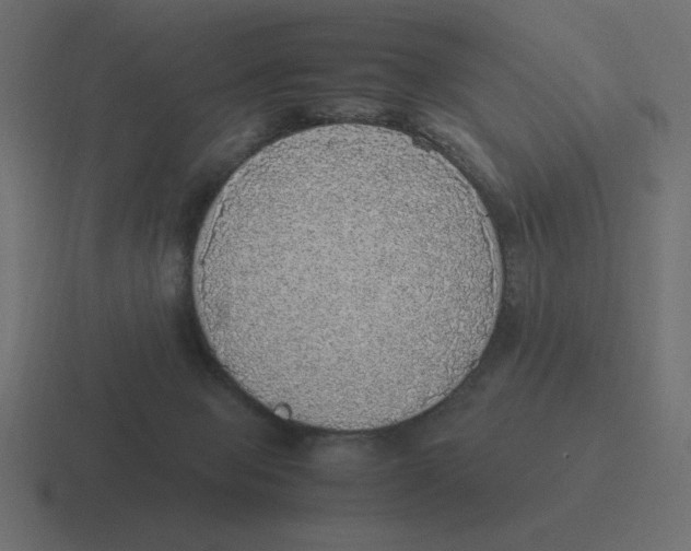 X0000116460077200912292015
