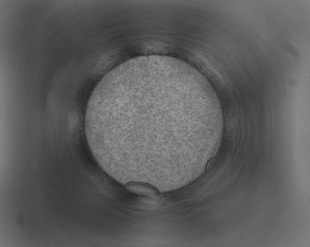 X0000116460079200912292015