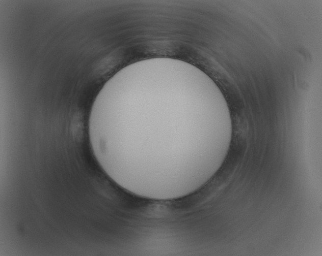 X0000116460080200912292015