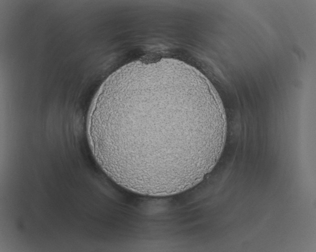 X0000116460081200912292015