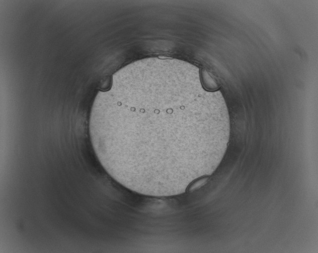 X0000116460083200912292015