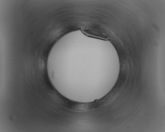 X0000116460084200912292015