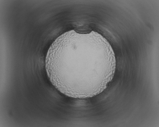 X0000116460085200912292015