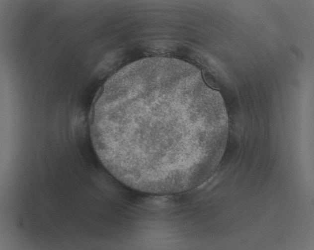 X0000116460086200912292015