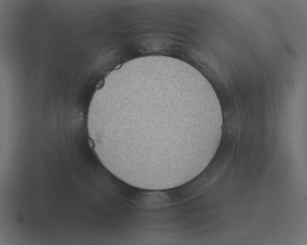 X0000116460087200912292015