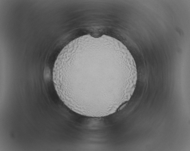 X0000116460089200912292015