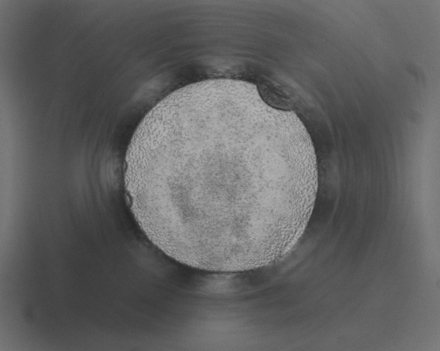 X0000116460090200912292015