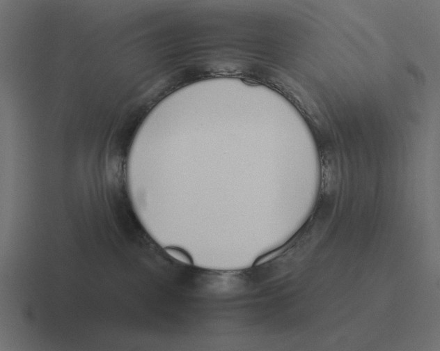X0000116460093200912292015