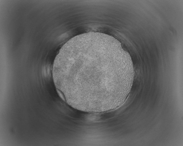 X0000116460094200912292015