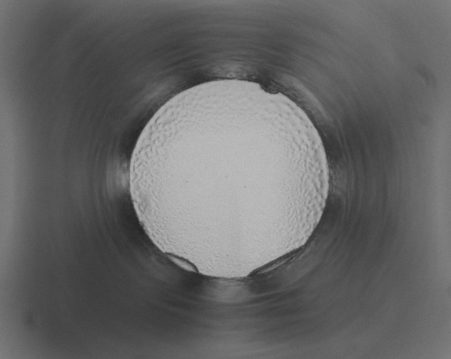 X0000116460095200912292015