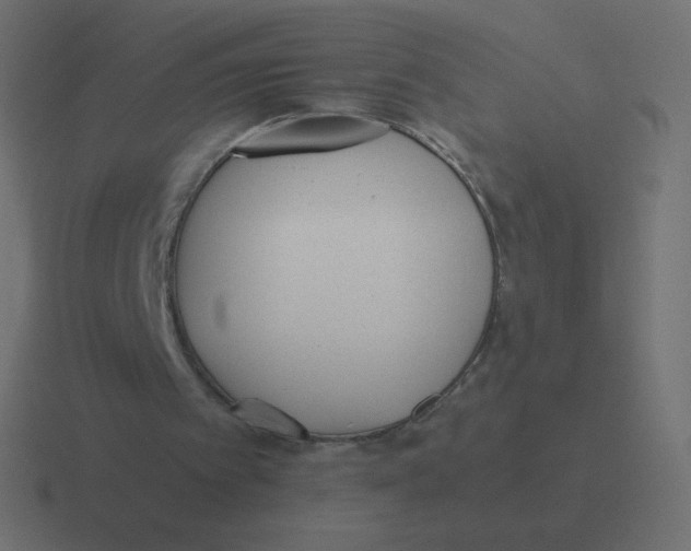 X0000116460097200912292015