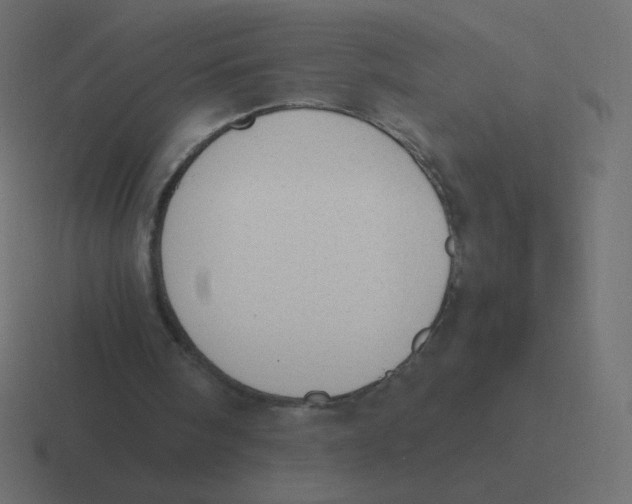 X0000116460098200912292015
