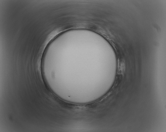 X0000116460099200912292015