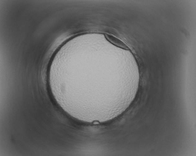 X0000116460103200912292015
